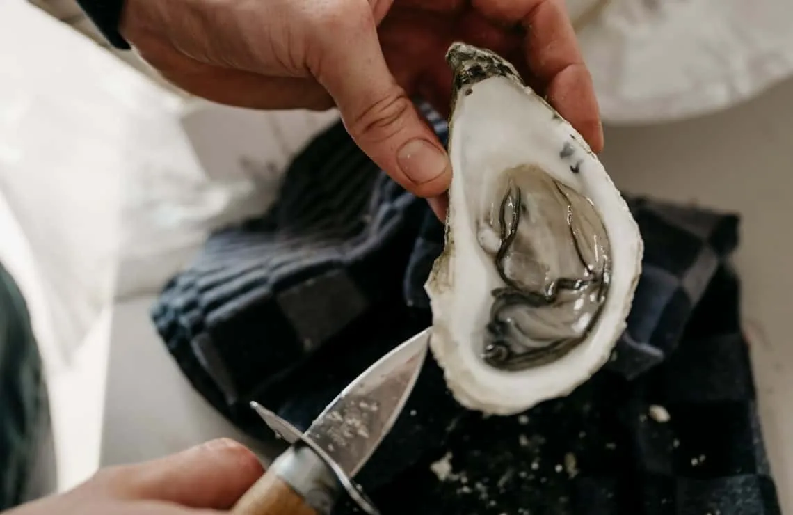 Een oester wordt opengemaakt met een oestermes