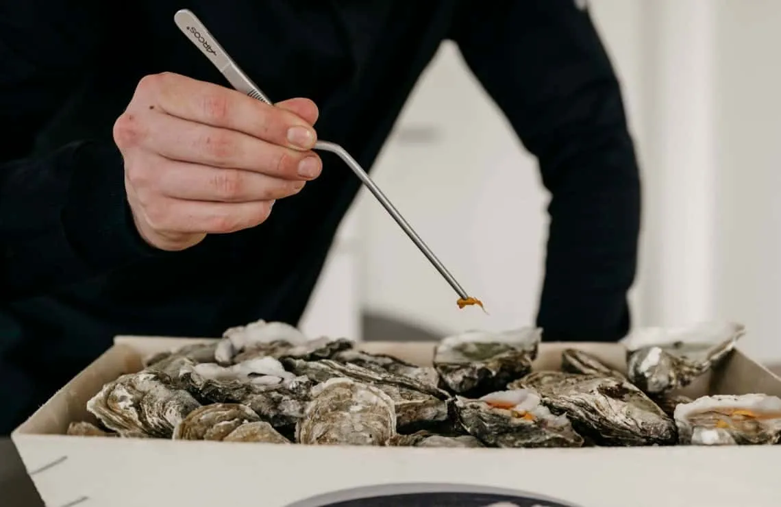 Oesters worden in een kist gelegd