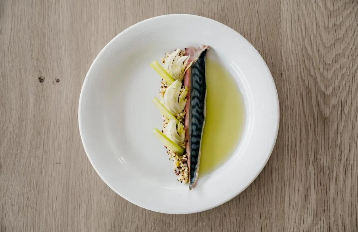 Makreel met groene saus op een wit bord